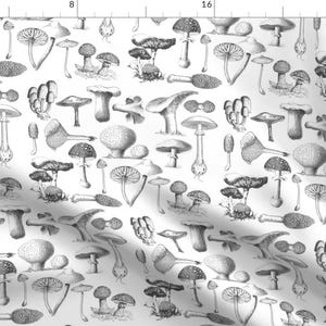 Botanical Block Print Fabric - Mushrooms By Shortcake Studio - Botanical Plants Black and White Cotton Fabric By The Yard With Spoonflower