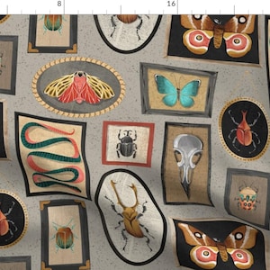 May include: A seamless pattern featuring various insects and other creatures in ornate frames. The background is a light gray with a subtle speckled texture. The frames are in various colors and styles, and the insects are depicted in a realistic style. Some of the insects include a beetle, a butterfly, a moth, and a dragonfly.