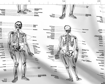May include: A black and white anatomical illustration of the human skeleton with labels for each bone. The image shows the front and back views of the skeleton.