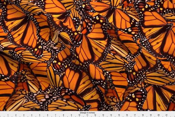 Monarch Butterflies Fabric Monarch Butterfly By Jenfur Monarch Butterflies Orange Black Cotton Fabric By The Yard With Spoonflower