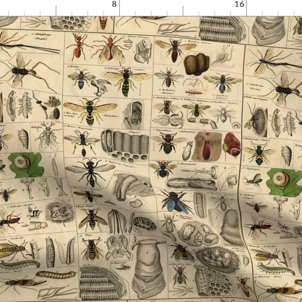 Vintage Entomology Fabric - I Am Bugging Out In Historic Proportions! By Peacoquettedesigns - Cotton Fabric By The Yard With Spoonflower