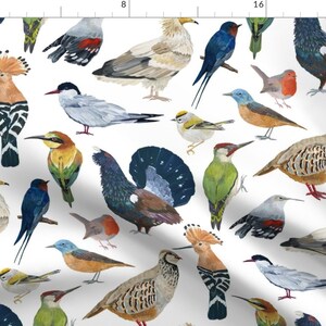 Bird Watching Fabric - Bird Watching by dasbrooklyn - Woodpecker Swallow Robin Partridge Seagull Birds  Fabric by the Yard by Spoonflower