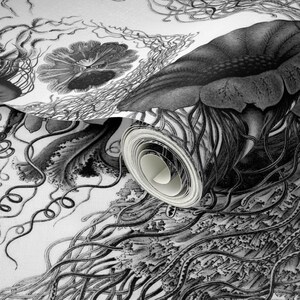 Sea Wallpaper - Jellyfish ~ Black White Swarm By Peacoquettedesigns - Custom Printed Removable Self Adhesive Wallpaper Roll by Spoonflower image 3