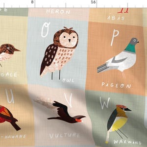 Peut inclure: Un tableau d'alphabet coloré présentant des oiseaux illustrés avec leurs lettres et leurs noms correspondants. Le tableau comprend une oie, un héron, un hibou, un ibis, un pigeon, une caille, un ula-ai-hawane, un vautour, un jaseur d'Amérique et un xéno.