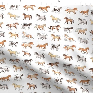 Horses Fabric - Horses By Hazel Fisher Creations - Horses Equestrian Riding Show Animals Gallop Cotton Fabric By The Yard With Spoonflower