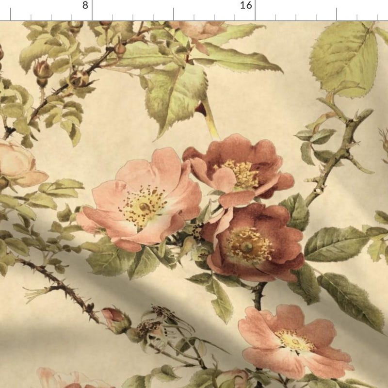 Parchment Colour Roses Parchment Roses - Etsy