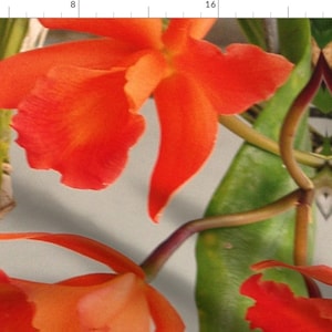Orange Orchids Fabric - Orange Orchids For An Exotic Lady By Susaninparis - Orange Orchids Green Cotton Fabric By The Yard With Spoonflower