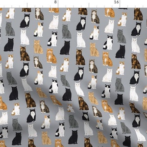 Cat Fabric - Cats Breeds Tuxedo Calico Orange Gray By Petfriendly - Cat Feline Pet Animal Cotton Fabric By The Yard With Spoonflower