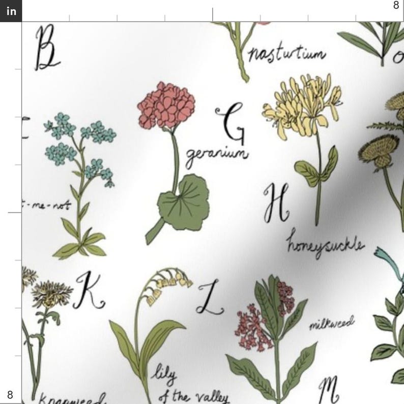ABC Botanical Fabric - Abc Wildflowers Botanical Floral by Andrea ...