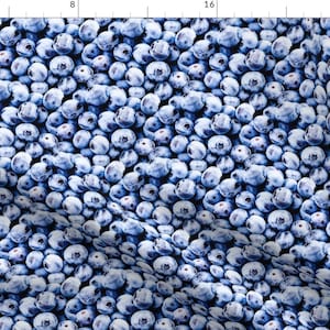 Blueberry Fabric - Blueberries Small By Versodile - Blueberry Fruit Food Realistic Photo Print Cotton Fabric By The Yard With Spoonflower