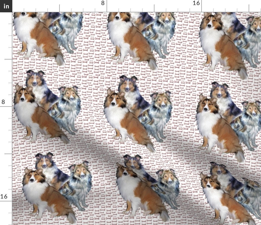 trimming sheltie pants