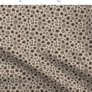Petoskey Stone Fabric - Petoskey Stone By Kahoxworth - Petoskey Stone Gem Precious Rock Fossils Cotton Fabric By The Yard With Spoonflower