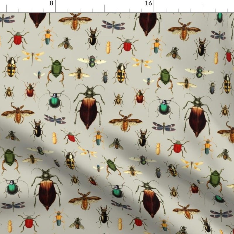 Insect Backdrop - Etsy