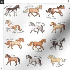 Blue Polar Fleece Cotton Summer Sheet Horse Rug, Small At Best Price In