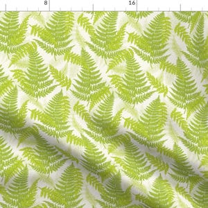 Botanical Fern Fabric - Botanical Ferns Spring By Diane555 - Summer Botanical Home Decor Cotton Fabric By The Yard With Spoonflower