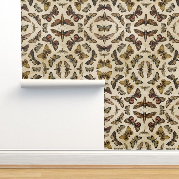Moth Wallpaper Vintage Moths by Somecallmebeth Moth Forest | Etsy