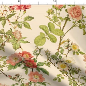 Floral Fabric - English Rose By Peacoquettedesigns - French Coral Green Beige Botanical Vines Cotton Fabric By The Yard With Spoonflower