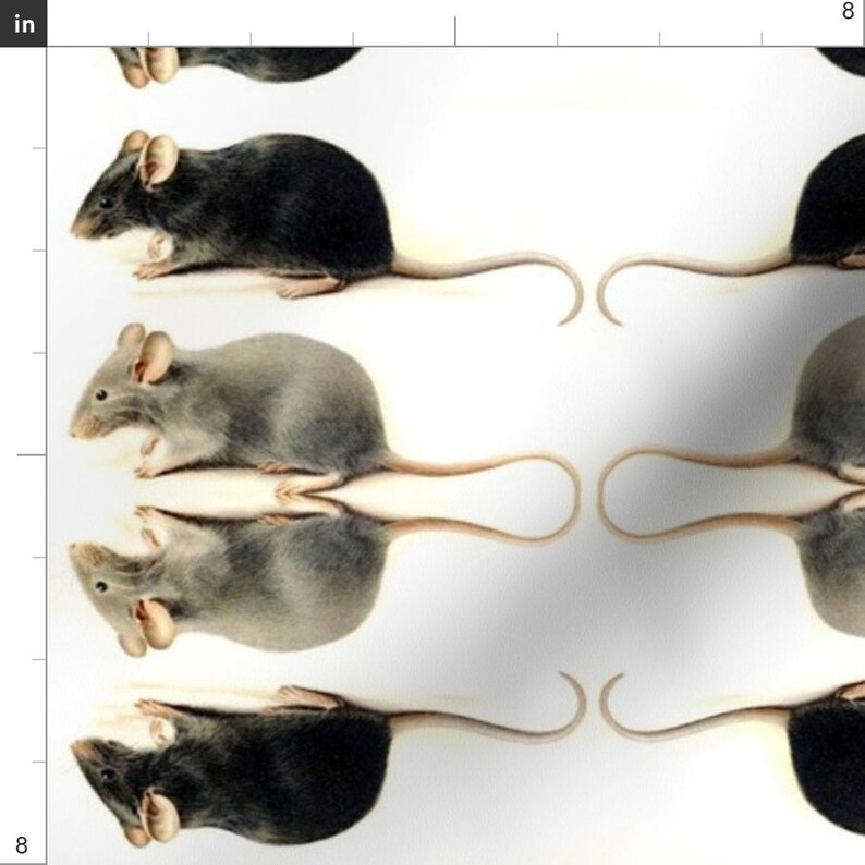Mirrored Rats Fabric Rats By Ravynka Rats Mice Rodents Etsy