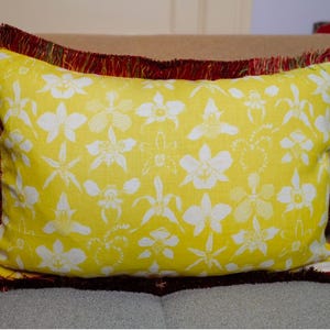 Raoul Textiles pillow with fringe/Ready to ship/15x25/Insert included/Both sides
