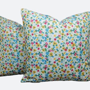 Templeton pillow cover-set of two-outdoor/Ready to ship