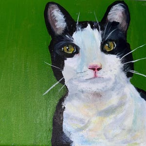 Original Acrylic Cat Painting – Black & White Cat on Green Background, 10x10 Canvas, Unframed