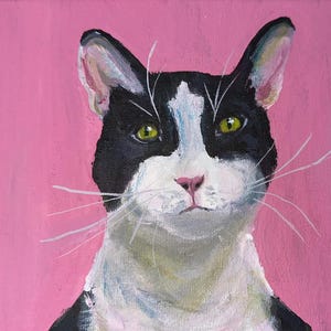 Original Acrylic Cat Painting – Black & White Cat on Pink Background, 10x10 Canvas, Unframed
