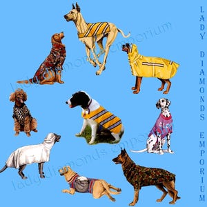 May include: A collection of illustrated dogs, each wearing different outfits. The dogs are various breeds and sizes, with some wearing coats, vests, and rain gear. The background is a solid light blue.