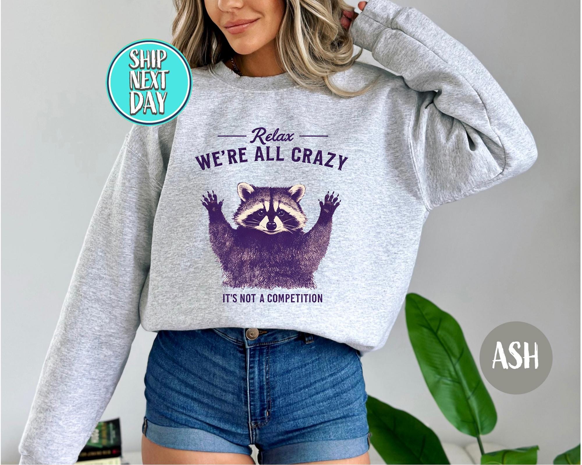Friendly Purple Raccoon with Relaxing Text Sweatshirt, Relax We're All Crazy It's Not a Competition,Funny Raccoon Hoodie,Retro Raccoon-MM382