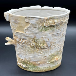 May include: A ceramic planter with a textured exterior designed to resemble white birch tree bark. The surface features horizontal ridges, subtle tan and green moss-like coloring, and a small protruding branch element on the left side.