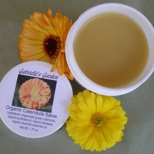K&ouml;nnte beinhalten: Ein wei&szlig;es Glas mit gelbem Deckel, das eine gelbe Salbe enth&auml;lt. Das Glas ist mit "Gabrielle's Garden Organic Calendula Salve" beschriftet und listet die Zutaten auf: Biologisch angebautes Calendula, Bio-Sonnenblumen&ouml;l, Bio-Bienenwachs und Bio-Lavendel&ouml;l. Das Glas steht auf einer gr&uuml;nen Oberfl&auml;che mit zwei gelben Blumen.