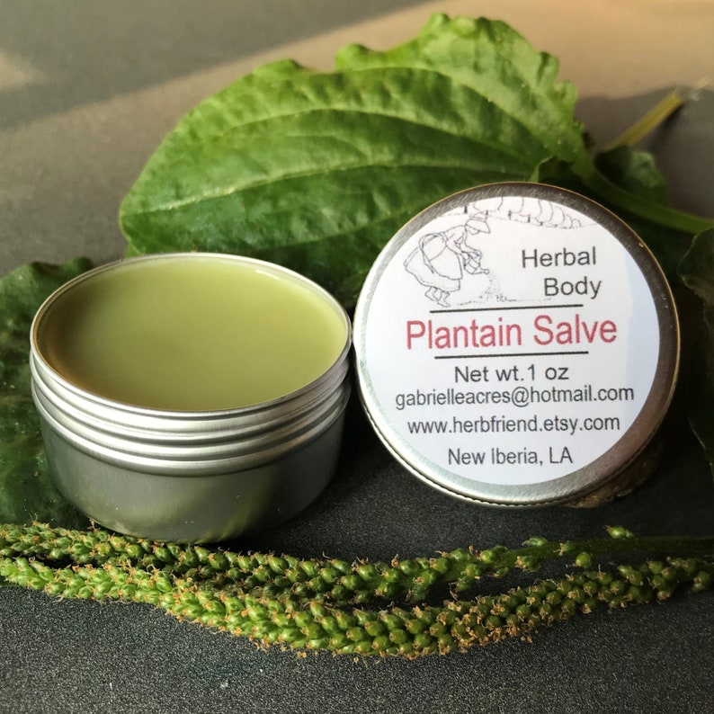 Plantain Herb Salve, Handcrafted Salve, Unscented or Essential Oils, Organically Grown Plantain Infusion, Organic Ingredients 1 oz