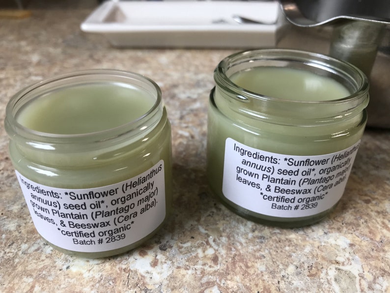 Plantain Herb Salve, Handcrafted Salve, Unscented or Essential Oils, Organically Grown Plantain Infusion, Organic Ingredients image 9