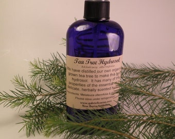 Tea Tree Hydrosol, Organically Grown - Copper Still, Herbal Mist, Skin Toner