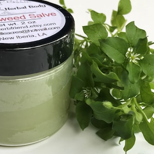 Chickweed Salve, Herbal Healing, Organic Ingredients, Chickweed Infused Balm