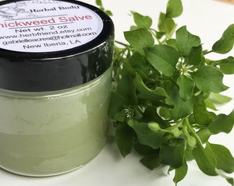 Chickweed Salve, Herbal Healing, Organic Ingredients, Chickweed Infused Balm