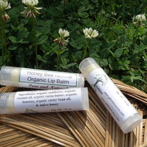 Honey Bee Natural Lip Balm, Organic Ingredients, Native Honey Lip Balm, No Added Scent, Naturally Scented image 5