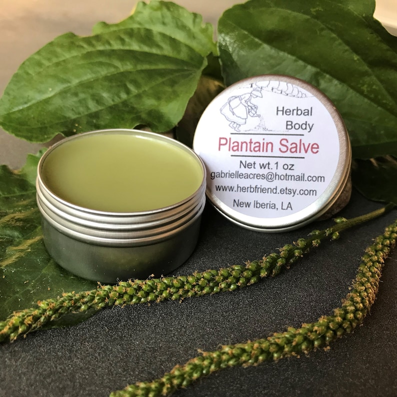 Plantain Herb Salve, Handcrafted Salve, Unscented or Essential Oils, Organically Grown Plantain Infusion, Organic Ingredients image 8