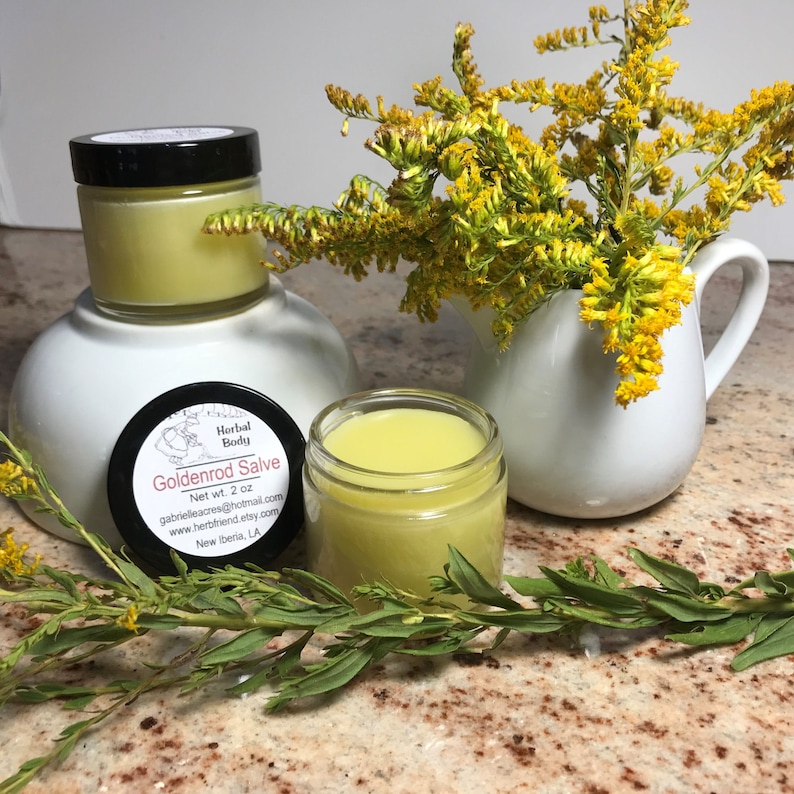 Goldenrod Salve/2 oz Glass Jar/Goldenrod Flower Balm/Natural Healing bild 2