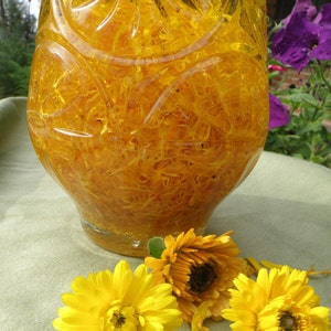K&ouml;nnte beinhalten: Eine klare Glasflasche gef&uuml;llt mit gelben Ringelblumenbl&uuml;tenbl&auml;ttern, umgeben von frischen gelben Ringelblumen.