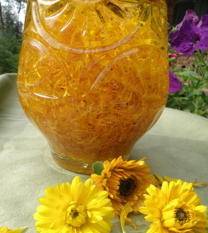 K&ouml;nnte beinhalten: Eine klare Glasflasche gef&uuml;llt mit gelben Ringelblumenbl&uuml;tenbl&auml;ttern, umgeben von frischen gelben Ringelblumen.