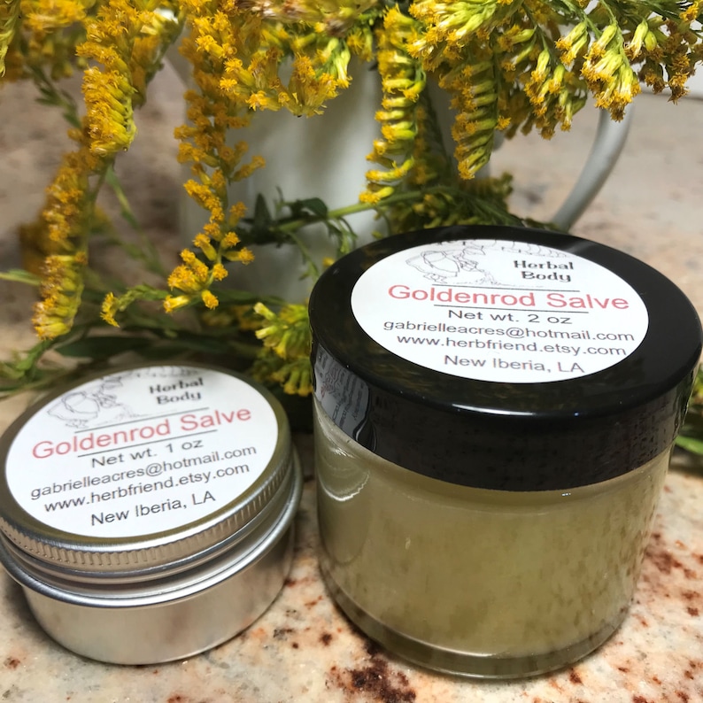 One 1oz tin and one 2oz jar of goldenrod salve with fresh goldenrod flowers in the background.