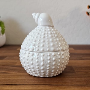 May include: White ceramic jar with a lid shaped like a seashell. The jar is covered in small bumps, resembling a sea urchin.