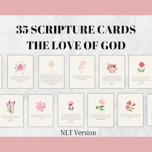 35 tarjetas bíblicas sobre el amor de Dios, tarjetas basadas en la fe, estudio bíblico, notas bíblicas, estímulo diario, tarjetas devocionales, tarjetas de regalo florales (rosa)