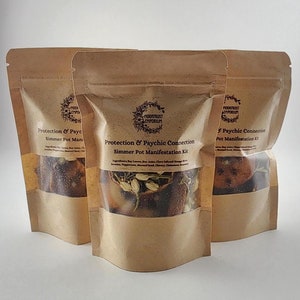 Simmer Pot Pot-pourri Manifestation Kit Protection et connexion psychique pour réchaud Pot-pourri automnal Parfum d'ambiance automnal Kit de sorts d'aromathérapie d'automne