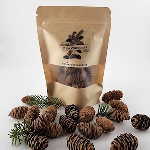 May include: A kraft paper bag filled with mini pinecones, labelled "Mini Pinecones" and "MOORFROSTEMPORIUM". Brown pinecones and green pine needles are scattered around the bag on a white background.