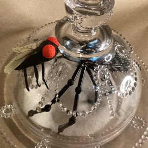 May include: A clear glass cloche with a decorative beaded edge, featuring a black spider and a black fly with red eyes. The cloche is on a white surface.