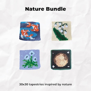 Könnte beinhalten: Set aus vier 30x30 Zoll großen Tapisserie-Quadraten mit naturinspirierten Designs. Die Quadrate sind gehäkelt und zeigen eine Vielzahl von Farben, darunter Blau, Grün, Orange und Weiß. Die Designs umfassen einen Fischschwarm, eine Gruppe von Maiglöckchen, eine Gruppe von weißen Blumen und eine braune Kugel mit sternenförmigem Hintergrund.
