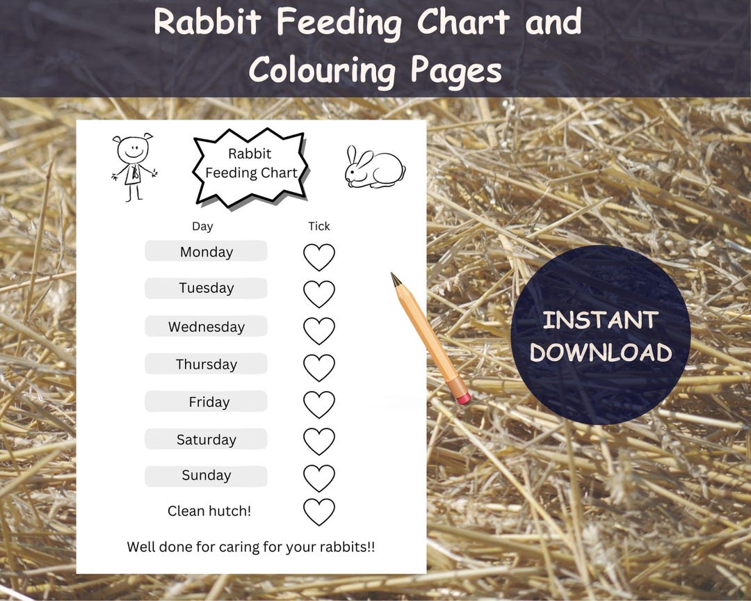 Rabbit Feeding Tracker and Chart, Log for Kids Hutch Cleaning ...