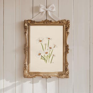 Pintura de margaritas en acuarela: Estampado floral de estilo vintage / Arte de pared de estilo cottagecore