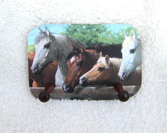 Vintage Wooden HORSES by the Fence Horse Theme 2-Peg Coat Rack...choose style
